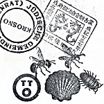 cancellation 08